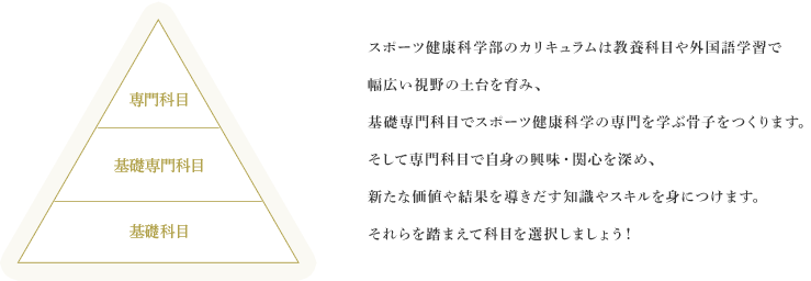 スポーツ健康科学部のカリキュラムは教養科目や外国語学習で幅広い視野の土台を育み、基礎専門科目でスポーツ健康科学の専門を学ぶ骨子をつくります。そして専門科目で自身の興味・関心を深め、新たな価値や結果を導きだす知識やスキルを身につけます。それらを踏まえて科目を選択しましょう！