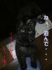 neko/F1000012.jpg 23KB 480x640