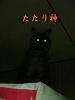neko/F1000017.jpg 12KB 480x640