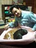 neko/F1000052.jpg 17KB 470x555