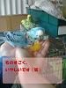 F1000041.jpg 33KB 480x640