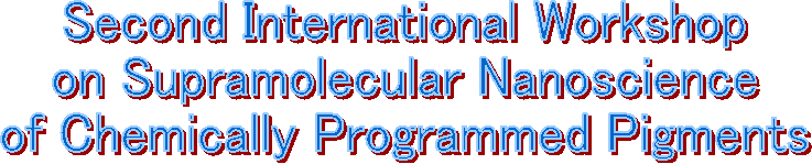 Second International Workshop 
on Supramolecular Nanoscience 
of Chemically Programmed Pigments 