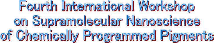 Fourth International Workshop 
on Supramolecular Nanoscience 
of Chemically Programmed Pigments 