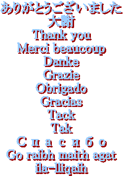 ありがとうございました
大謝
Thank you
Merci beaucoup
Danke
Grazie
Obrigado
Gracias
Tack
Tak
Спасибо
Go raibh maith agat
ila-lliqaih