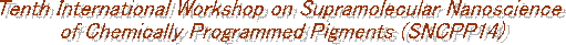 Tenth International Workshop on Supramolecular Nanoscience 
of Chemically Programmed Pigments (SNCPP14)