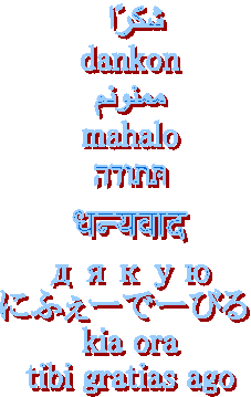 شكرًا 
dankon
ممنونم
mahalo
תּתודה
धन्यवाद
дякую
にふぇーでーびる 
kia ora
tibi gratias ago