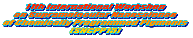 11th International Workshop on Supramolecular Nanoscience of Chemically Programmed Pigments (SNCPP15) 