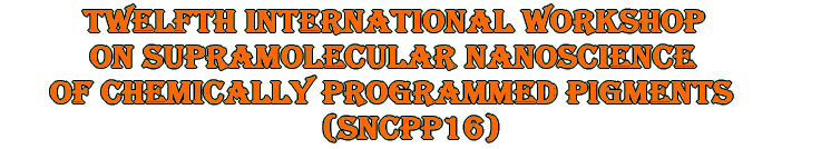 Twelfth International Workshop on Supramolecular Nanoscience of Chemically Programmed Pigments (SNCPP16)