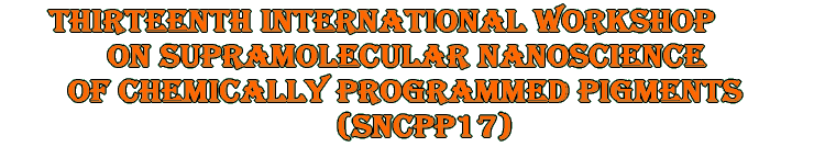 Thirteenth International Workshop on Supramolecular Nanoscience of Chemically Programmed Pigments (SNCPP17)