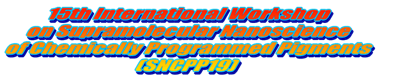 15th International Workshop on Supramolecular Nanoscience of Chemically Programmed Pigments (SNCPP19) 