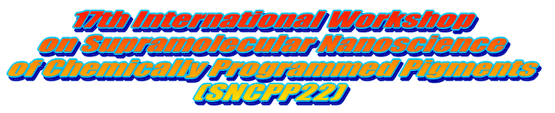 17th International Workshop on Supramolecular Nanoscience of Chemically Programmed Pigments (SNCPP22) 