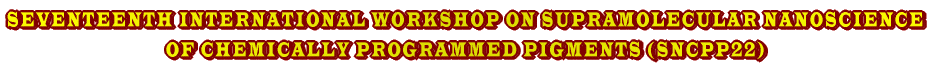 SEVENTEENTH INTERNATIONAL WORKSHOP ON SUPRAMOLECULAR NANOSCIENCE OF CHEMICALLY PROGRAMMED PIGMENTS (SNCPP22) 