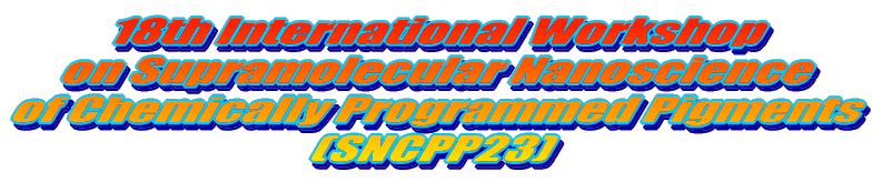 18th International Workshop on Supramolecular Nanoscience of Chemically Programmed Pigments (SNCPP23) 