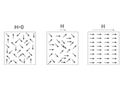 paramagnetic.jpg