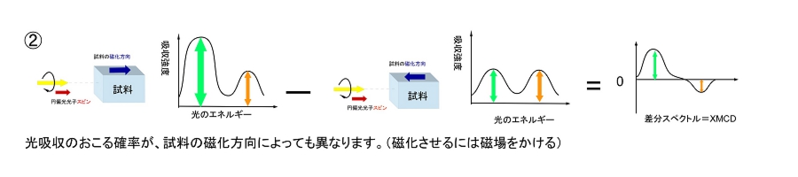 XMCD②.jpg