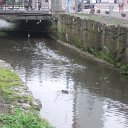 DSCF6339