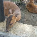 DSCF6364