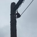 DSCF6365
