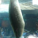 DSCF6380