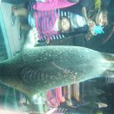 DSCF6382