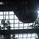 DSCF6392
