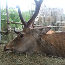 DSCF6393