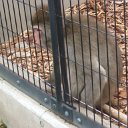 DSCF6402