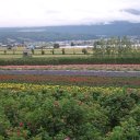 DSCF6439