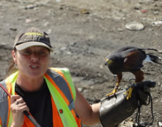 Vancouver Landfill