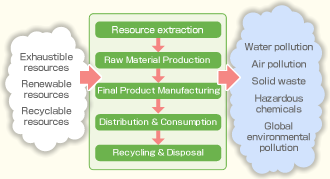 The stages of a life cycle