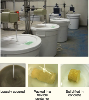 Dissolution test of waste