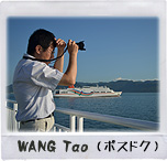 WANG Tao（ポスドク）