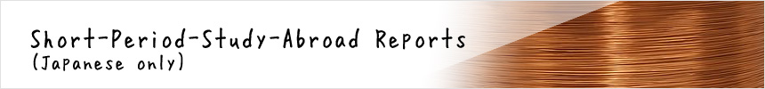 Short-Period-Study-Abroad Reports