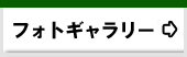 tHgM[