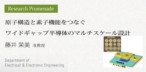 子構造と素子機能をつなぐワイドギャップ半導体のマルチスケール設計