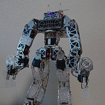 Bipedal Robot