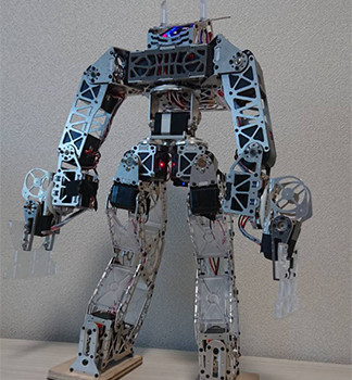 Bipedal Robot