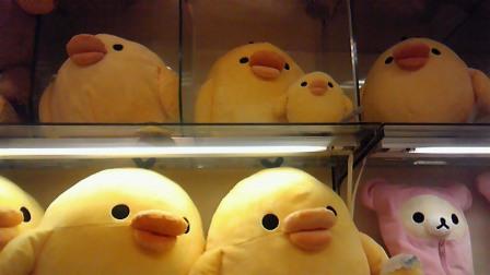 20100630hiyoko.jpg