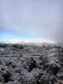 20110113a.jpg