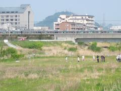 20110509-4.JPG