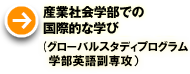 産業社会学部での国際的な学び（グローバルスタディプログラム・学部英語副専攻）