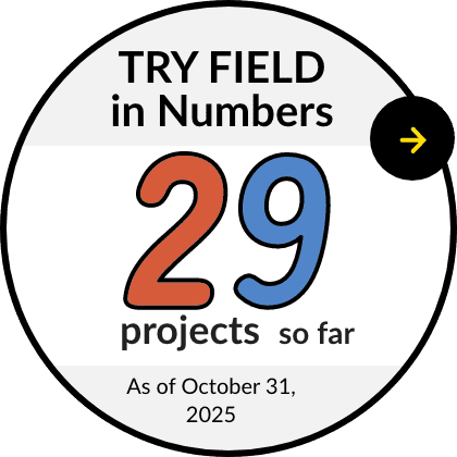 TRY FIELD in Numbers 29 projects so far