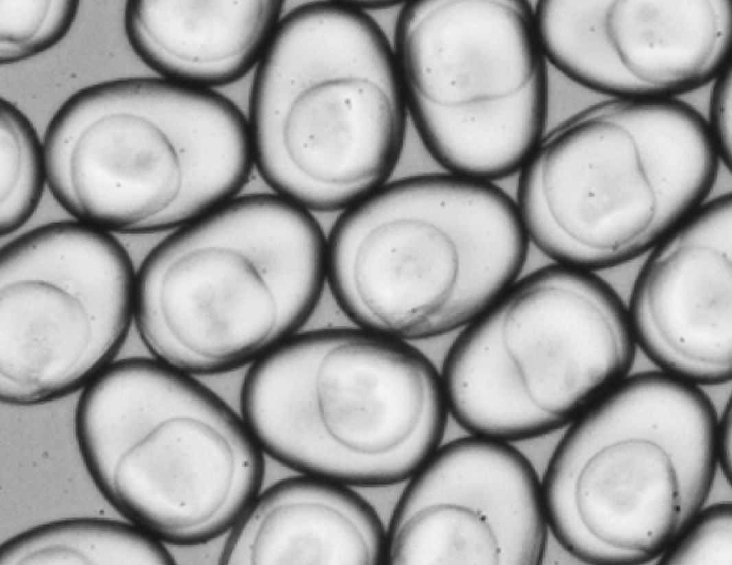 Microcapsules