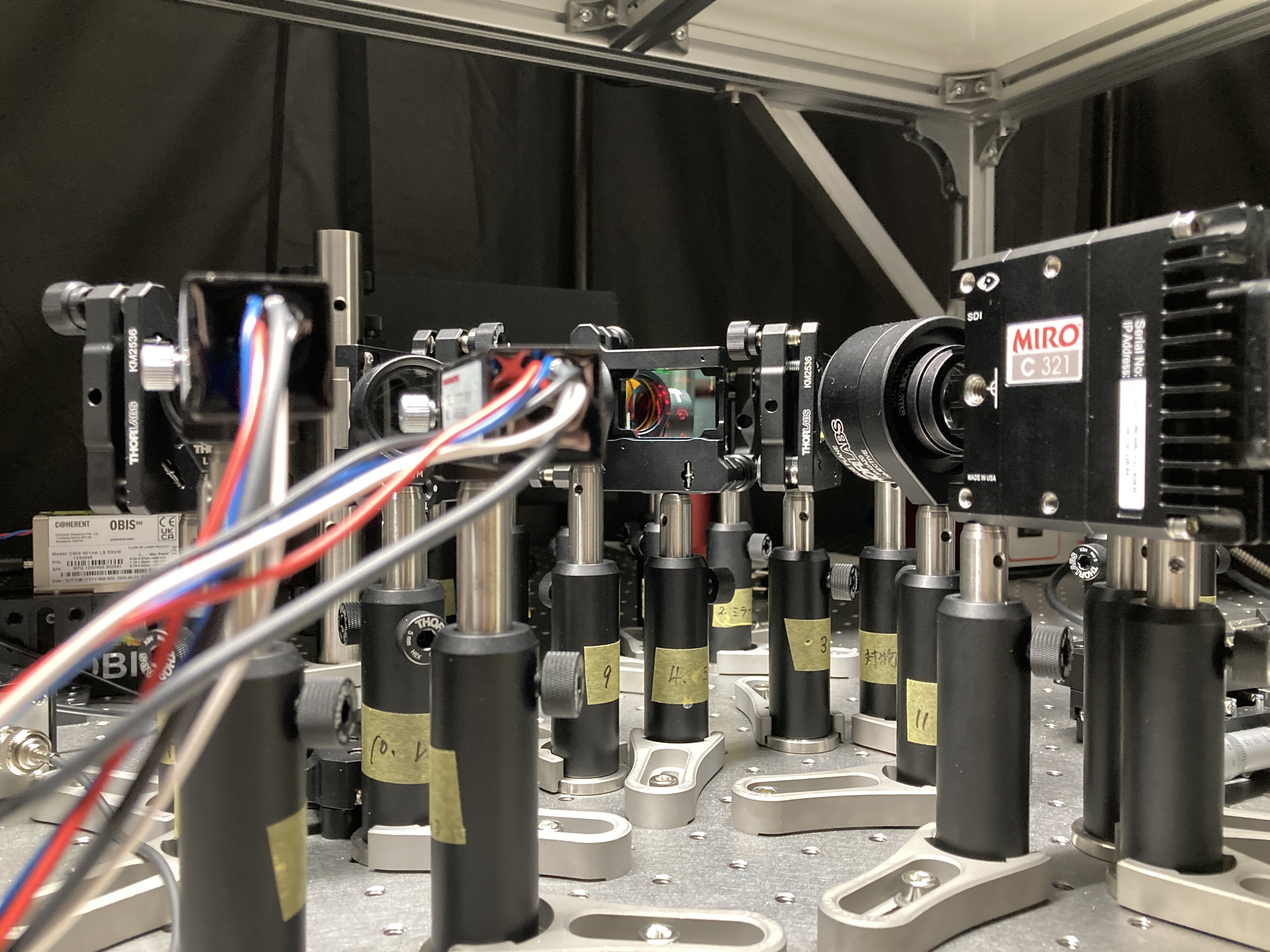 Cell sorting system