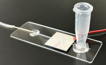 High-throughput protein crystal measurement