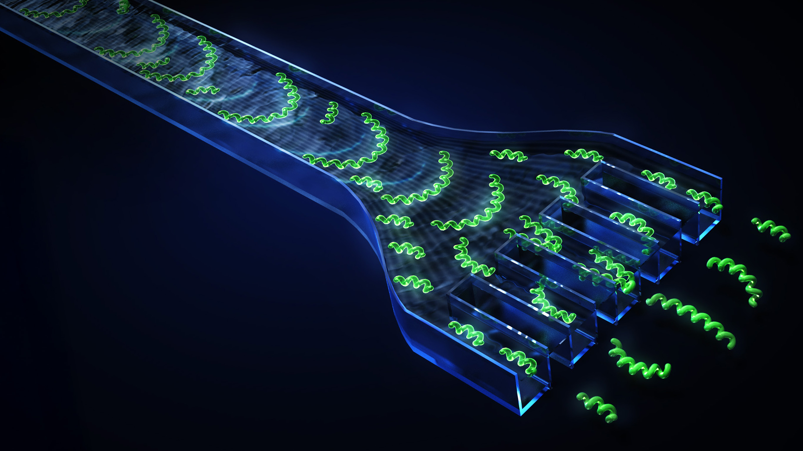Cell sorting channels