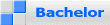 Bachelor