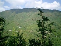 [hodu05.JPG]