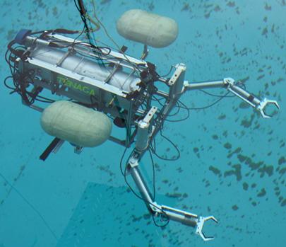 17DOF Underwater Robot with Dual Arm （湖虎Coco）