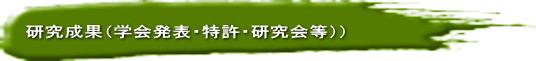 研究成果（学会発表・特許・研究会等））